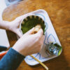 Matcha Kirishima Midori - Image 3