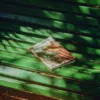 The Preserve Journal | Issue no.10 - Image 5