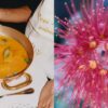 Liguria: Recipes & Wanderings Along the Italian Riviera - Image 3