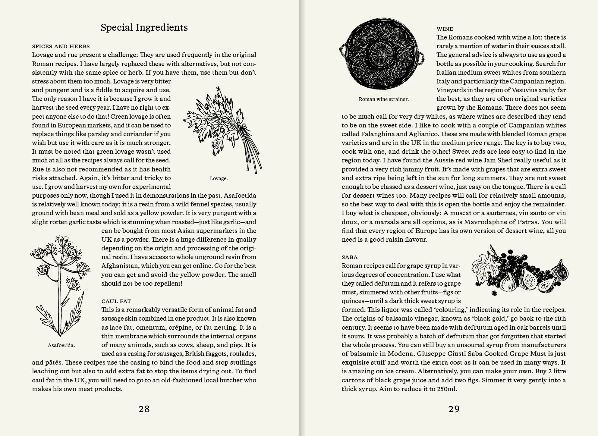 Roman Recipes for Modern Cooks - Image 6