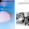 Campania: Recipes & Wanderings - Image 5