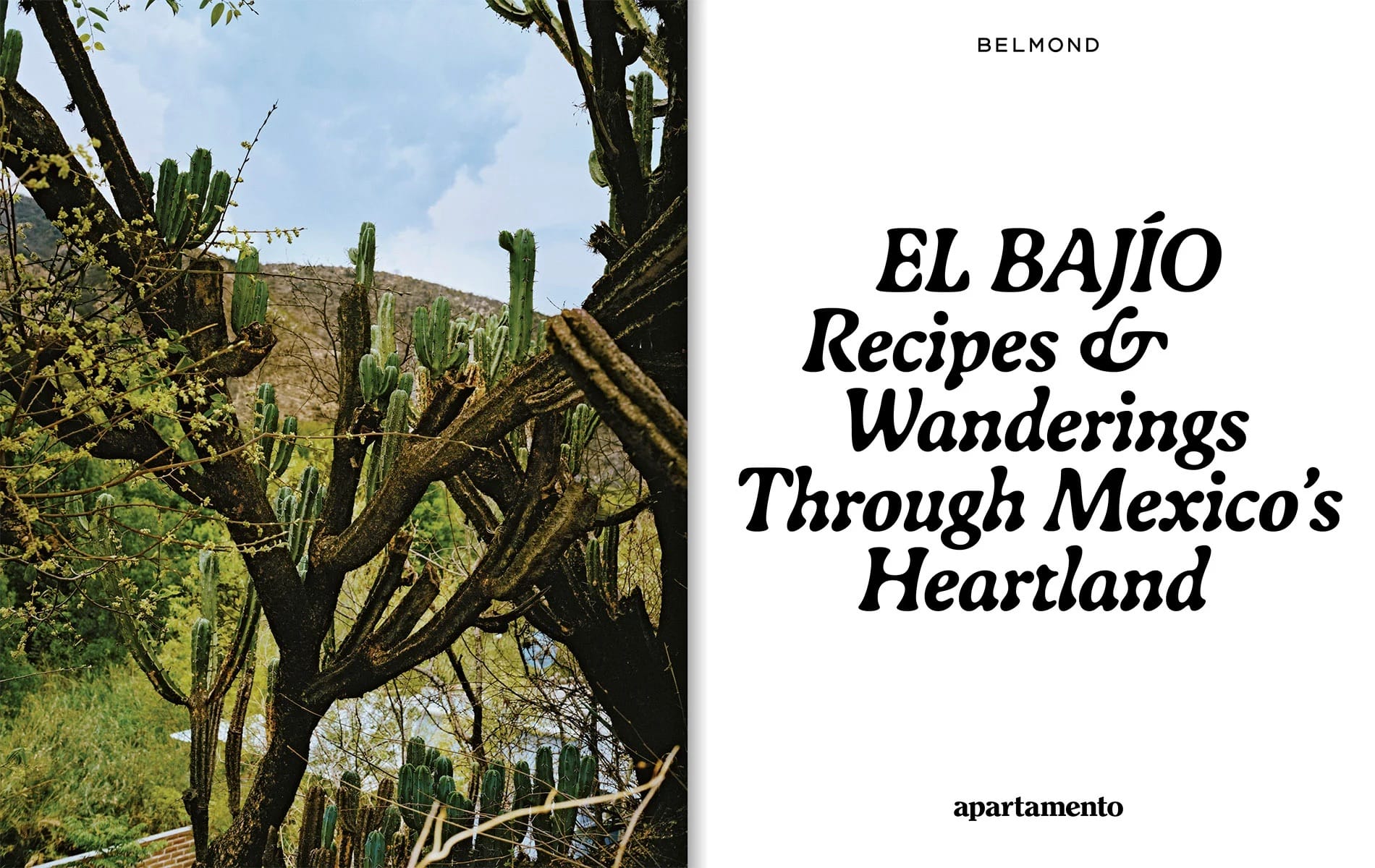 EL BAJÍO: Recipes & Wanderings - Image 5